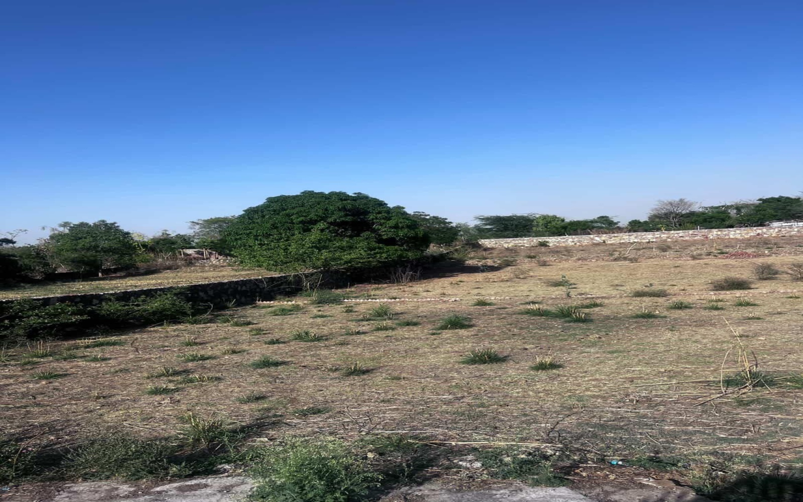 Sakroda, Kurabad Road, Udaipur, 313001, 0 , 0 ,0,Land,For Sale,Sakroda, Kurabad Road,0,1000