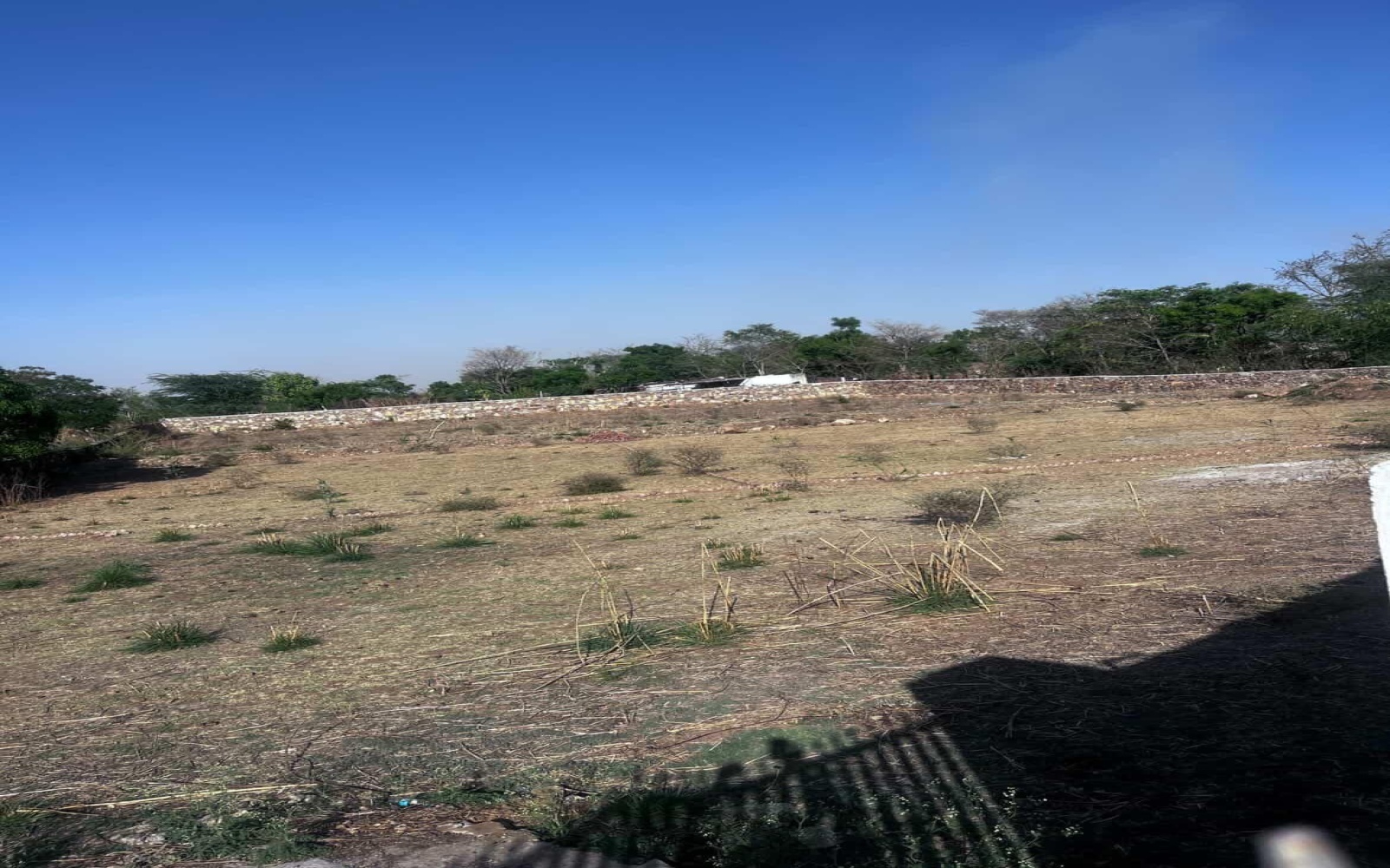 Sakroda, Kurabad Road, Udaipur, 313001, 0 , 0 ,0,Land,For Sale,Sakroda, Kurabad Road,0,1000