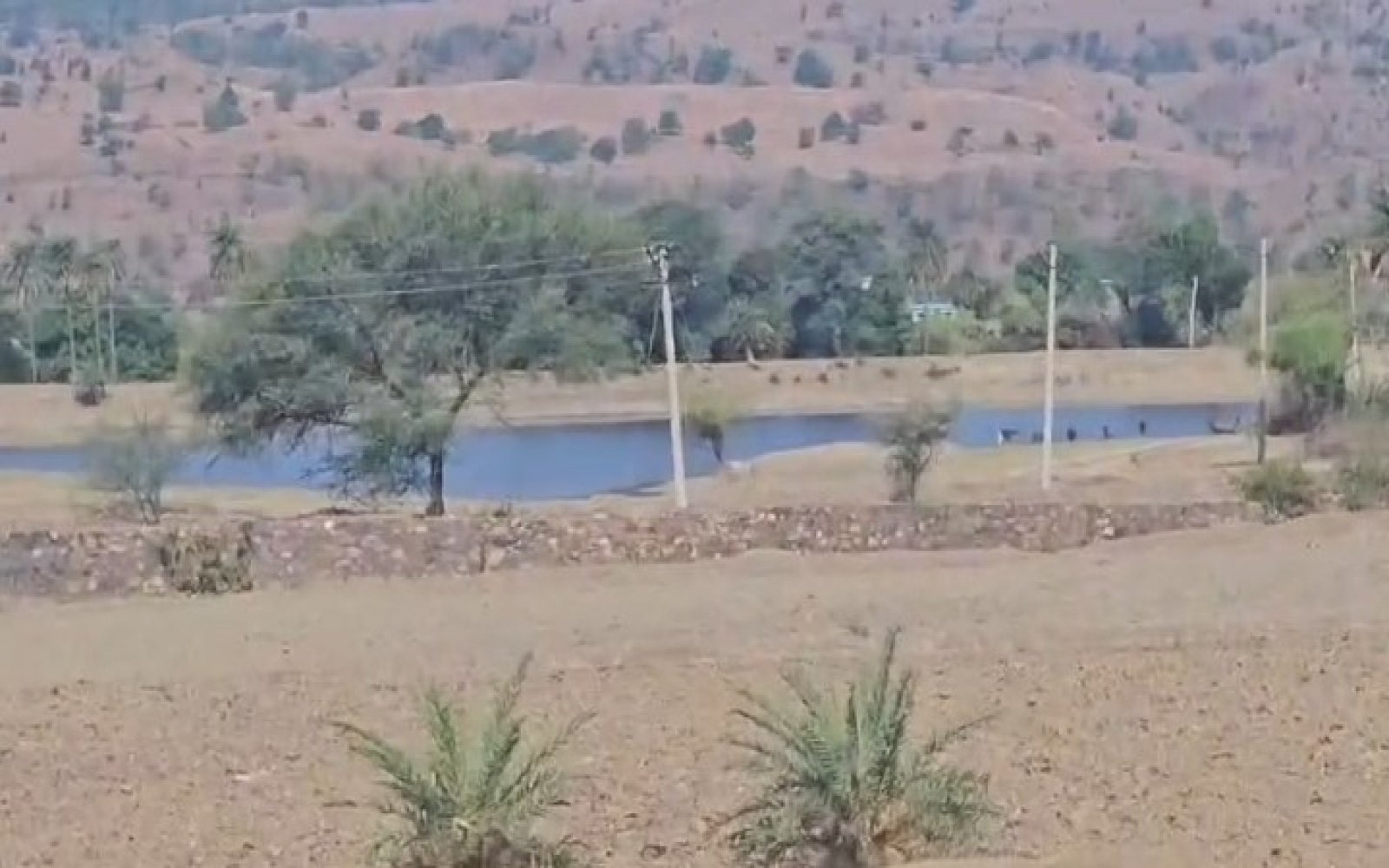 Jhadol Road, Udaipur, 313001, 0 , 0 ,0,Land,For Sale,Jhadol Road,0,1001